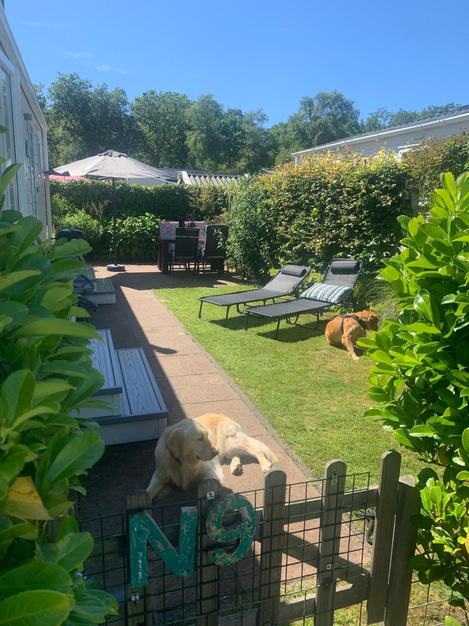 N 9Strandnahes, Hunde-Familienfreundliches Ferienhaus Callantsoog Luaran gambar