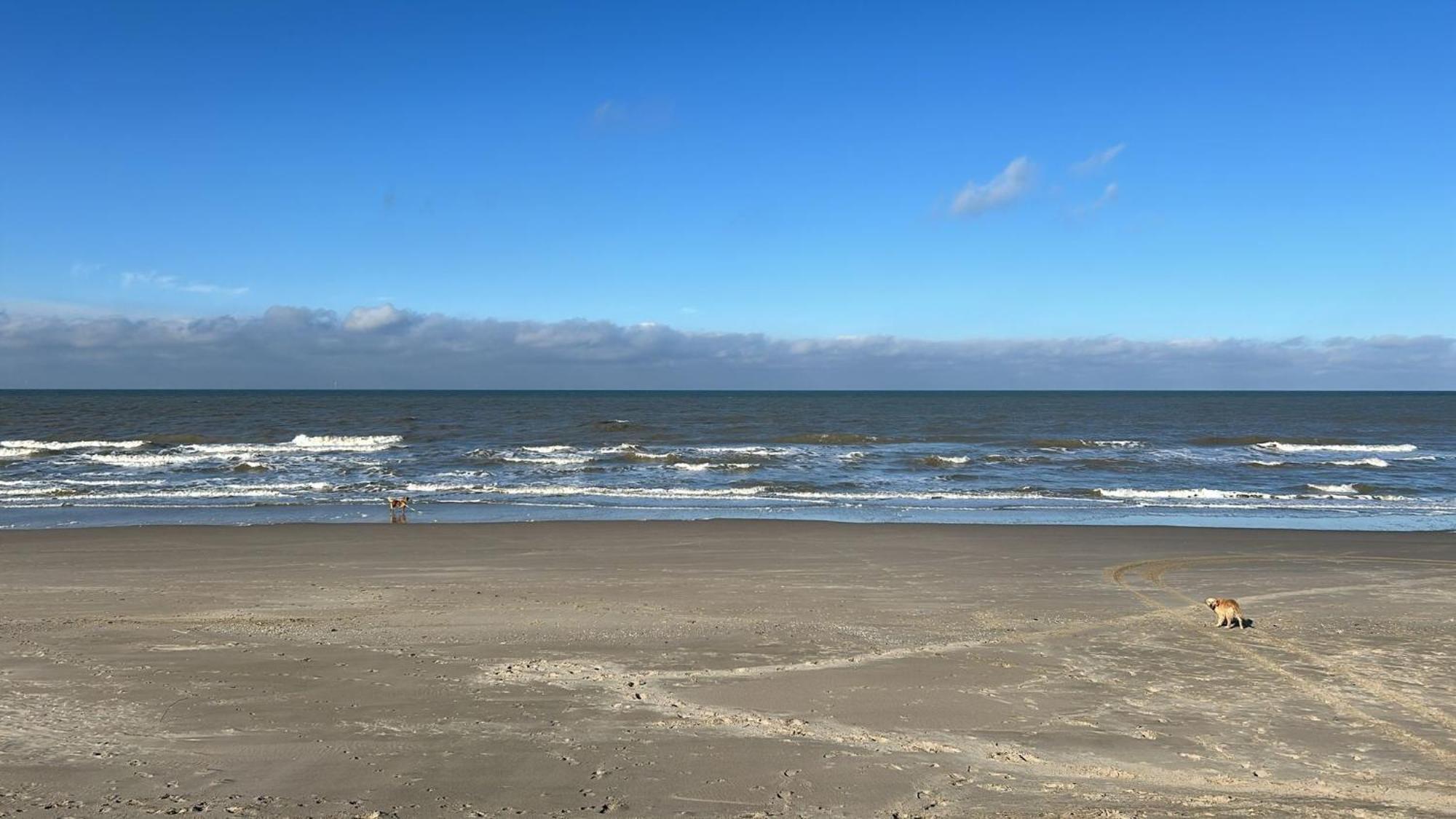 N 9Strandnahes, Hunde-Familienfreundliches Ferienhaus Callantsoog Luaran gambar